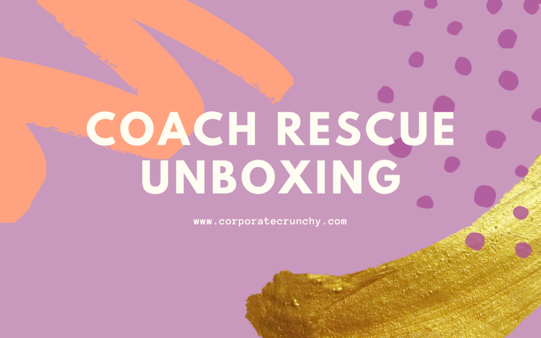 ThredUP Coach Reject/Rescue Unboxing